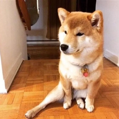 最近抖音上很火的头像(18张)