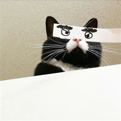 最近抖音上很火的头像(18张)