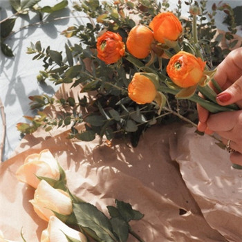 微信漂亮头像图片大全(15张)