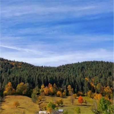 女人好运平安吉利头像(18张)