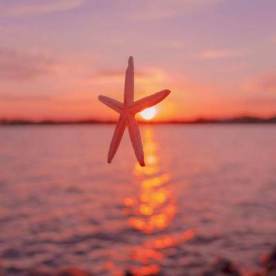 一生平安健康好运微信头像(21张)