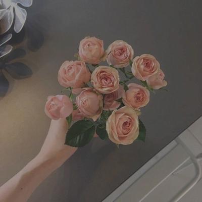 一生平安健康好运微信头像(21张)