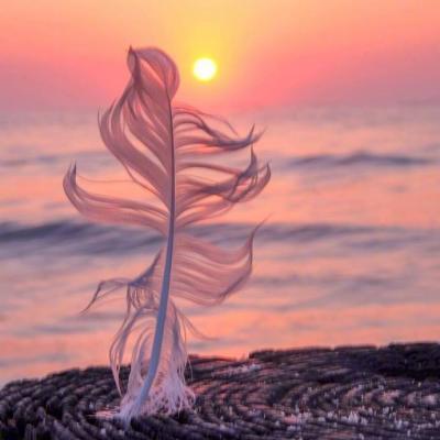 一生平安健康好运微信头像(21张)