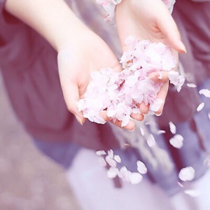 难懂又有深意的头像(精选16张)