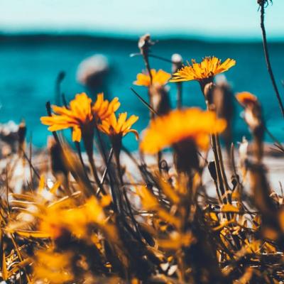 难懂又有深意的头像风景(22张)