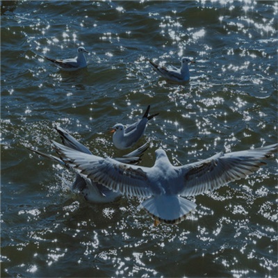 难懂又有深意的头像风景(22张)