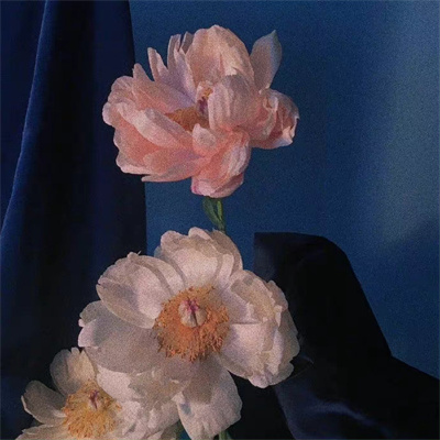 难懂又有深意的头像风景(22张)