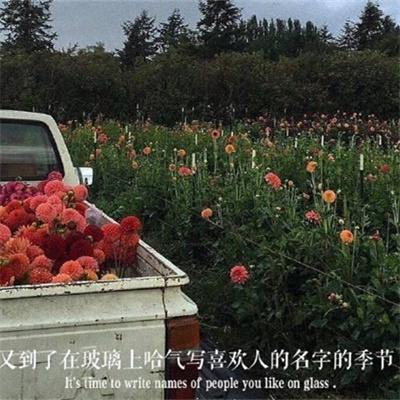 难懂又有深意的头像风景(22张)