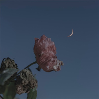 难懂又有深意的头像风景(22张)