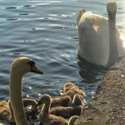 全网最火的丧头像(精选22张)