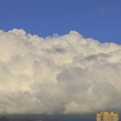 全网最火的丧头像(精选22张)