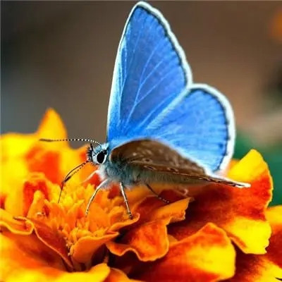 2023年男人微信头像最吉利好运图片(精选24张)