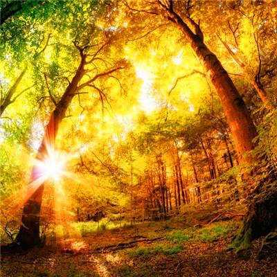 2023年男人微信头像最吉利好运图片(精选24张)