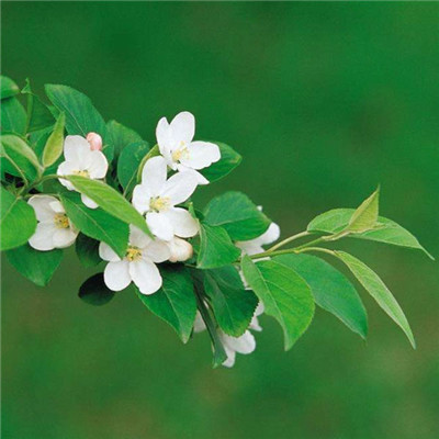 2023年男人微信头像最吉利好运图片(精选24张)