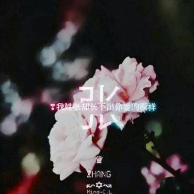 张姓氏男头像带字图片(21张)