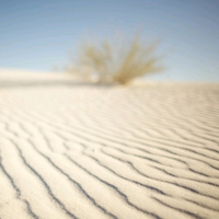 微信沙漠头像图片大全(24张)