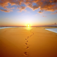 微信沙漠头像图片大全(24张)