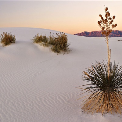唯美蓝色意境图片风景头像(精选24张)