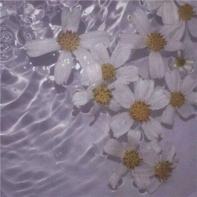 唯美蓝色意境图片风景头像(精选24张)