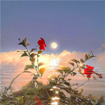 2023最火风景头像(精选24张)