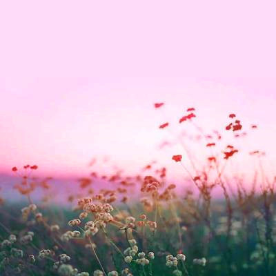 2023最火风景头像(精选24张)