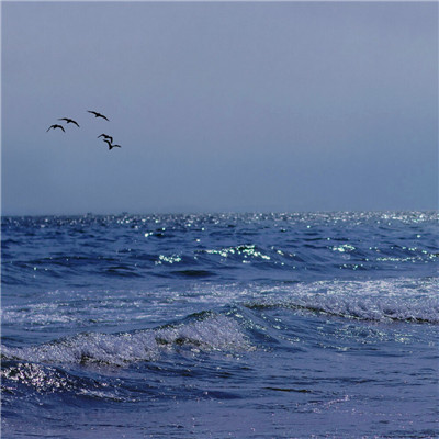 2023最火风景头像(精选24张)