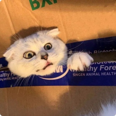 高清超级搞怪可爱的微信头像图片(精选12张)