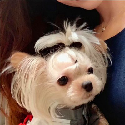 恩爱高级ins好看情侣头像(精选22张)