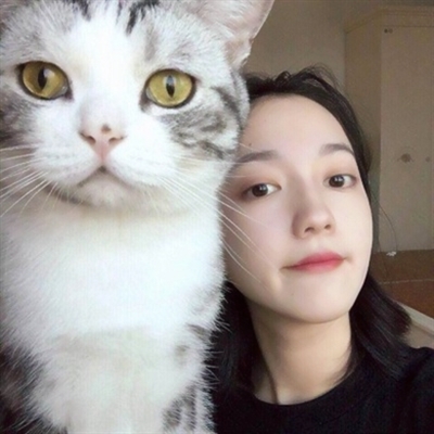 高清漂亮好看带猫咪的女生头像图片(精选21张)