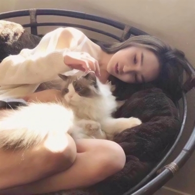 高清漂亮好看带猫咪的女生头像图片(精选21张)