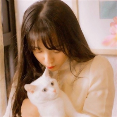 高清漂亮好看带猫咪的女生头像图片(精选21张)