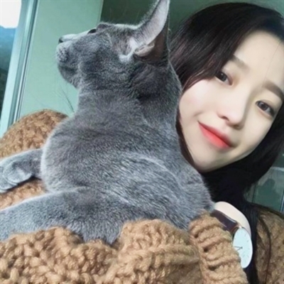 高清漂亮好看带猫咪的女生头像图片(精选21张)