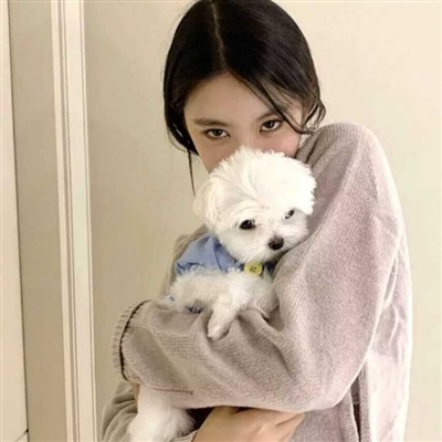 高清漂亮好看带猫咪的女生头像图片(精选21张)