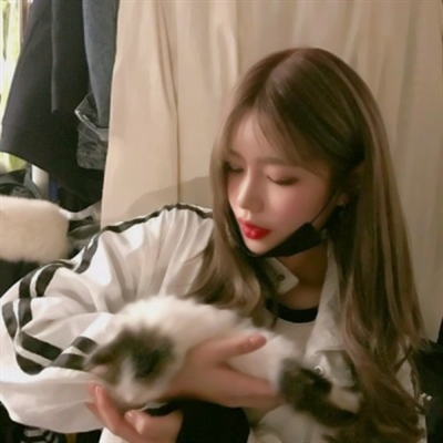 高清漂亮好看带猫咪的女生头像图片(精选21张)