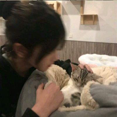 高清漂亮好看带猫咪的女生头像图片(精选21张)