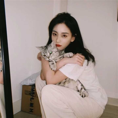高清漂亮好看带猫咪的女生头像图片(精选21张)