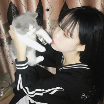 高清漂亮好看带猫咪的女生头像图片(精选21张)