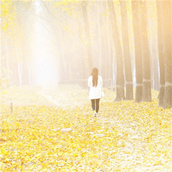 落叶一个人伤感背影图片头像(精选15张)