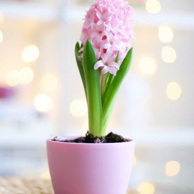 微信头像好运图片大全(21张)