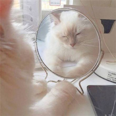 微信头像好运图片大全(21张)