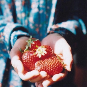 简约干净小清新美食图片头像(精选18张)