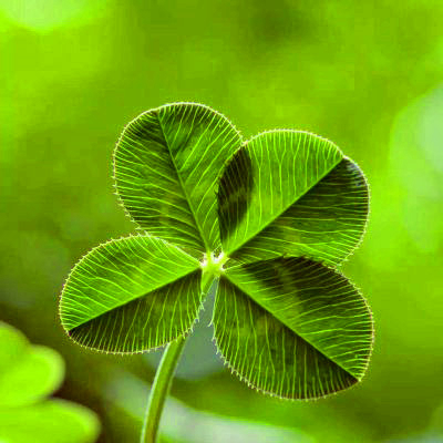 吉利吉祥女人幸运又聚财的微信头像图片(24张)