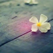 吉利吉祥女人幸运又聚财的微信头像图片(24张)