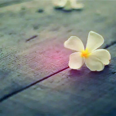 吉利吉祥女人幸运又聚财的微信头像图片(24张)