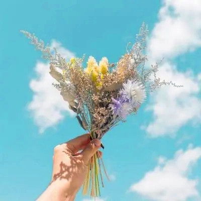 吉利吉祥女人幸运又聚财的微信头像图片(24张)