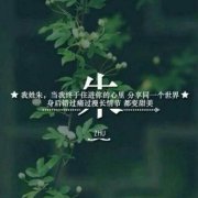 姓氏朱字头像图片大全(12张)