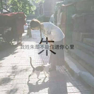 姓氏朱字头像图片大全(12张)