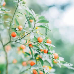 高清唯美意境微信风景头像图片(精选21张)