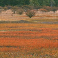 微信头像秋天风景图片(24张)