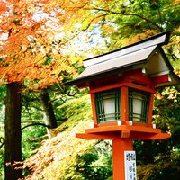 微信头像秋天风景图片(24张)